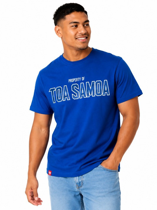 PROPERTY OF TOA TEE-TM3379