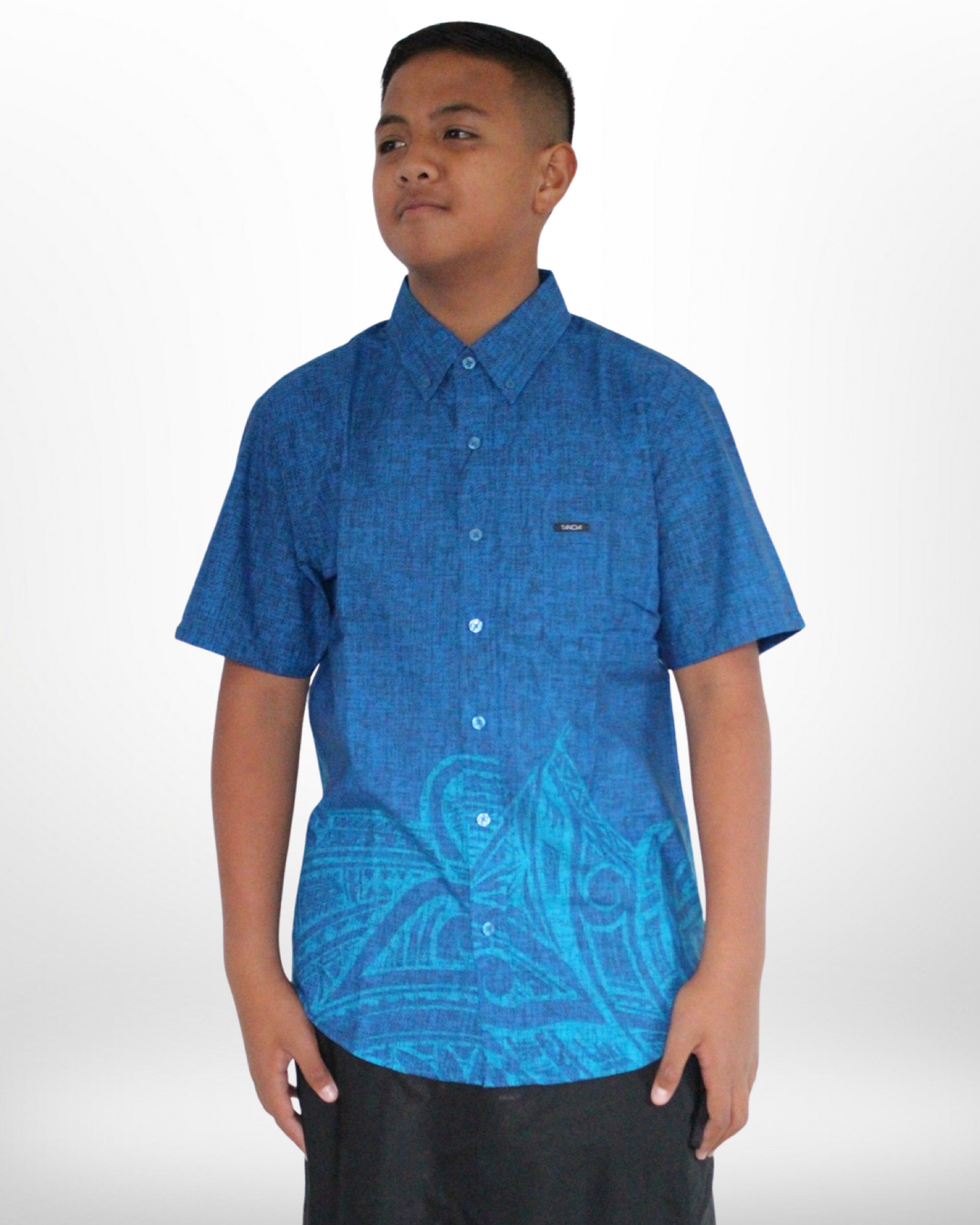 Perenise Men's Wrinkle Free Shirt