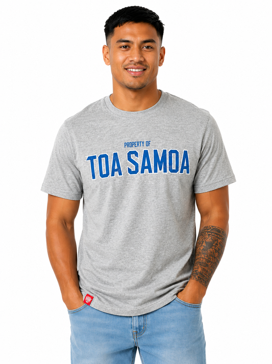 PROPERTY OF TOA TEE-TM3379