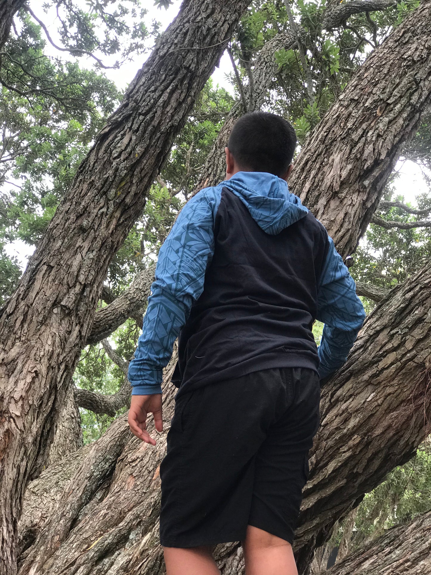 Men's Hoodie IVITU/ TSH1801A -Blue